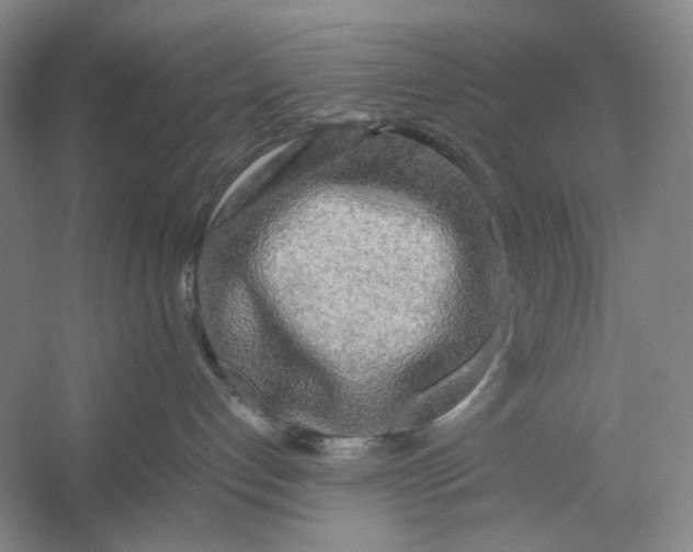 X0000054410192200508192041