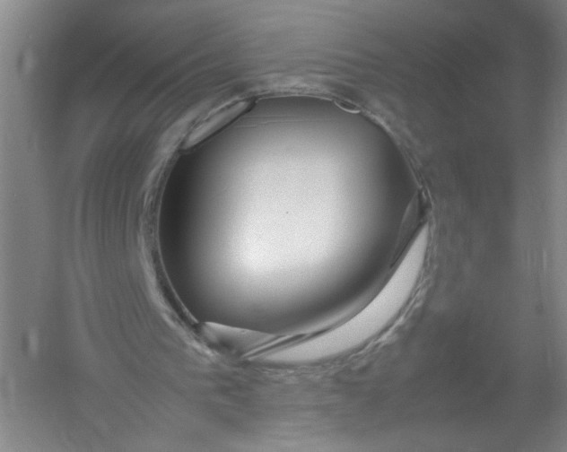 X0000054410193200508192040