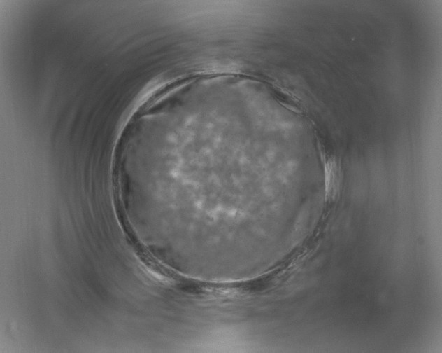 X0000054410195200508192040