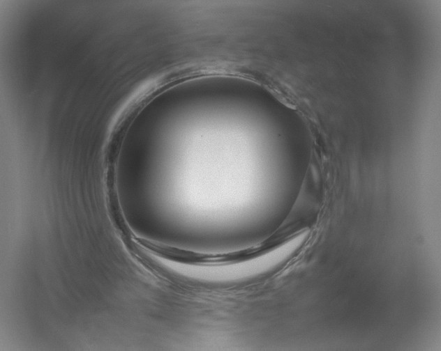 X0000054410197200508192040