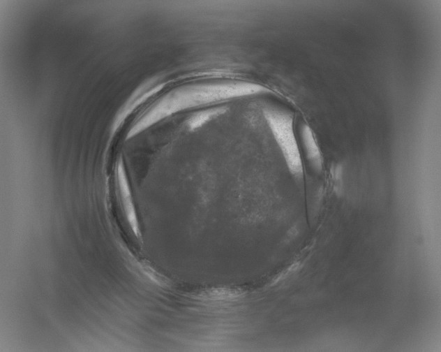 X0000054410198200508192040