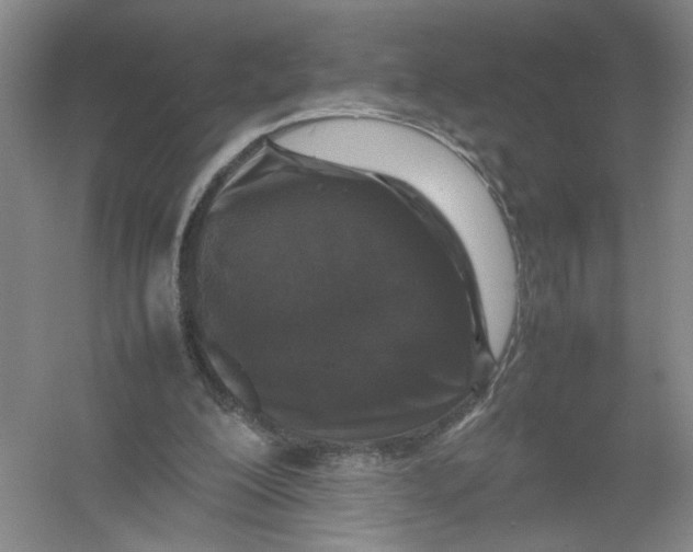 X0000054410200200508192040
