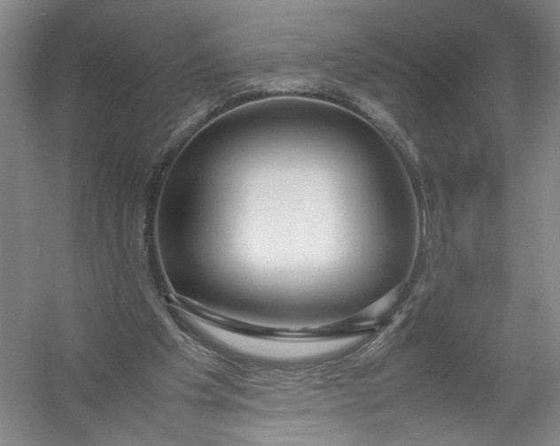 X0000054410201200508192040