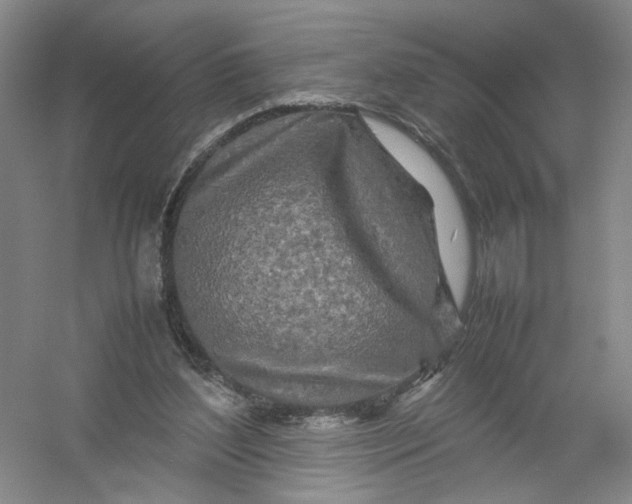 X0000054410204200508192040