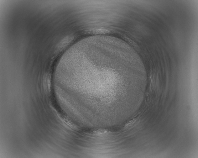 X0000054410206200508192040