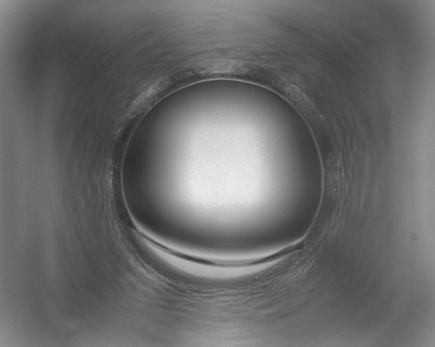 X0000054410207200508192040