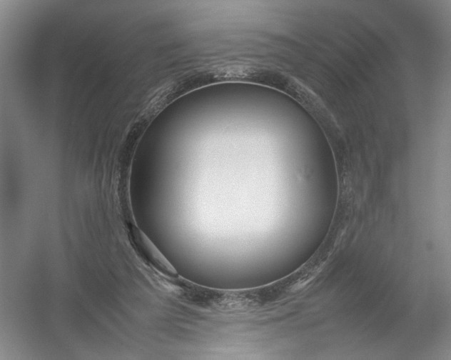 X0000054410209200508192040