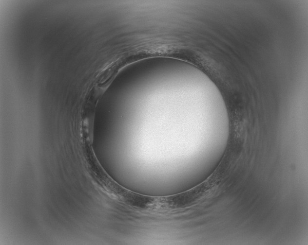 X0000054410211200508192040