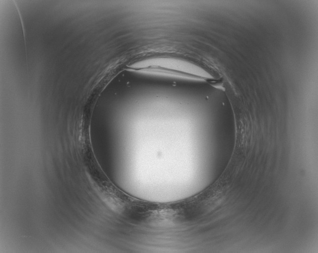 X0000054410212200508192040