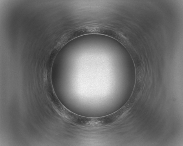 X0000054410213200508192040
