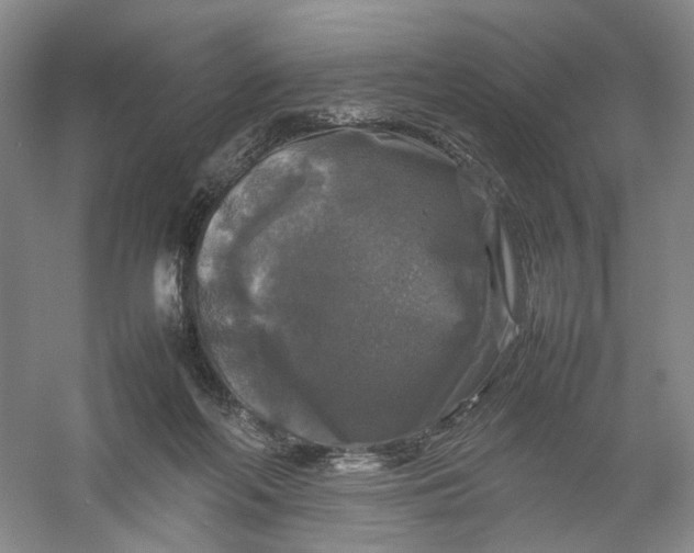 X0000054410214200508192040