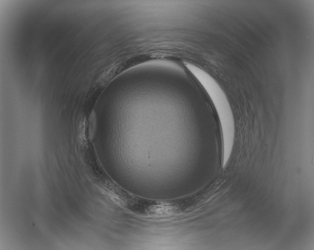 X0000054410219200508192040