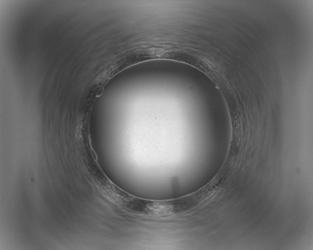 X0000054410221200508192039