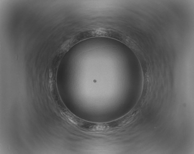 X0000054410223200508192039