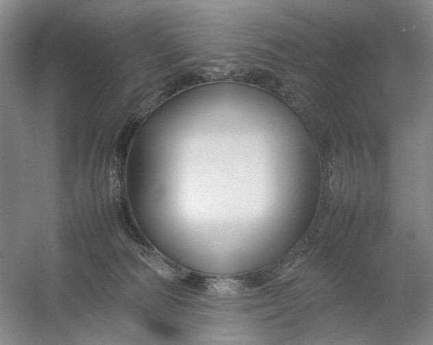 X0000054410226200508192039