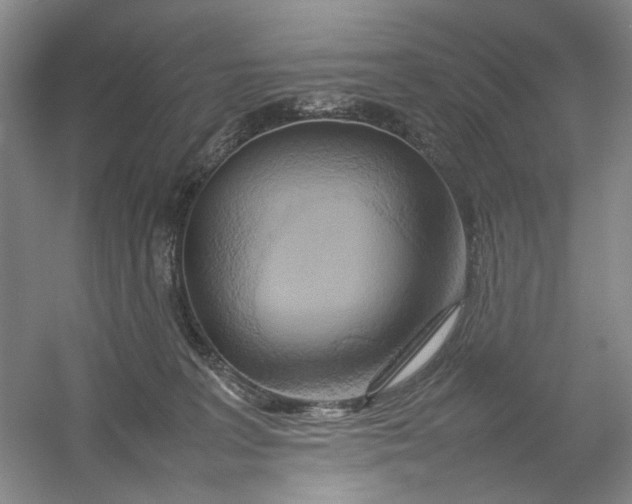 X0000054410227200508192039
