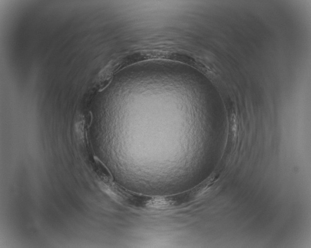 X0000054410231200508192039