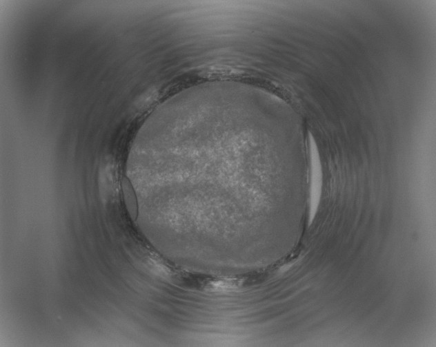 X0000054410232200508192039