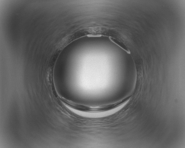 X0000054410233200508192039