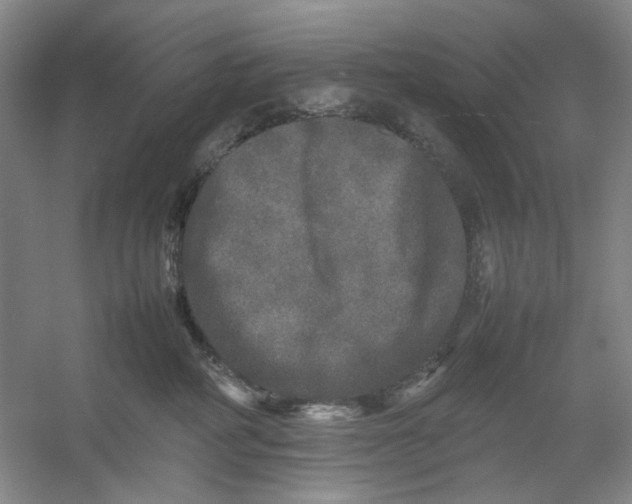 X0000054410234200508192039
