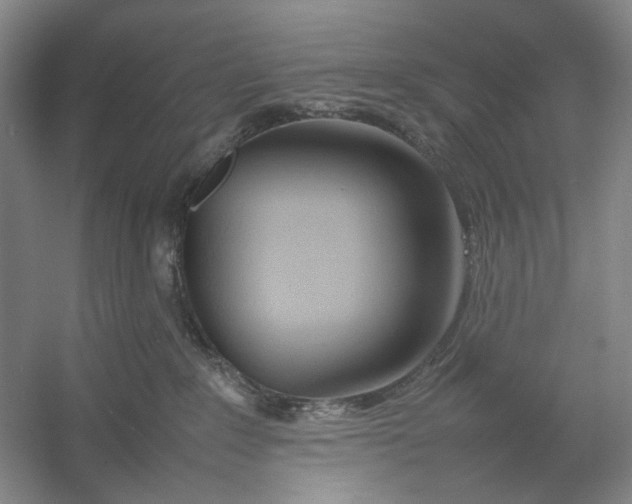 X0000054410235200508192039