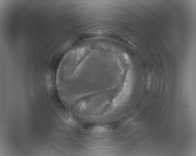 X0000054410236200508192039