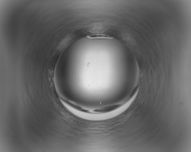 X0000054410237200508192039