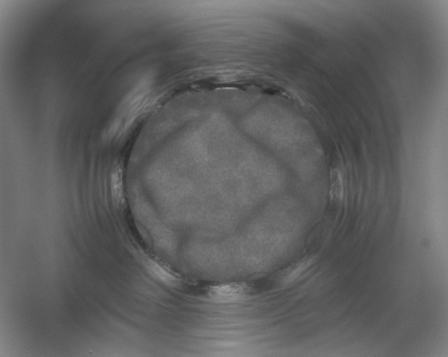 X0000054410238200508192039