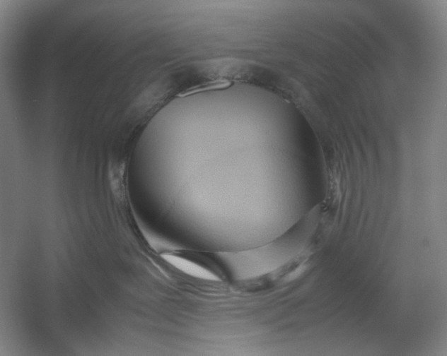 X0000054410239200508192039