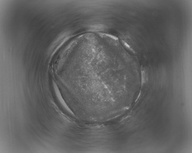 X0000054410243200508192038