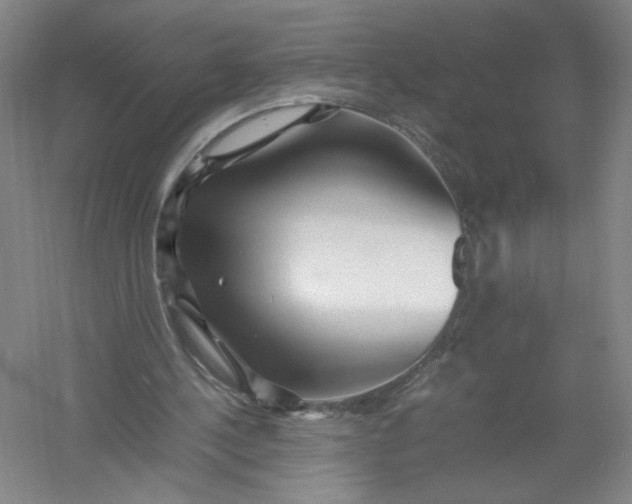 X0000054410244200508192038