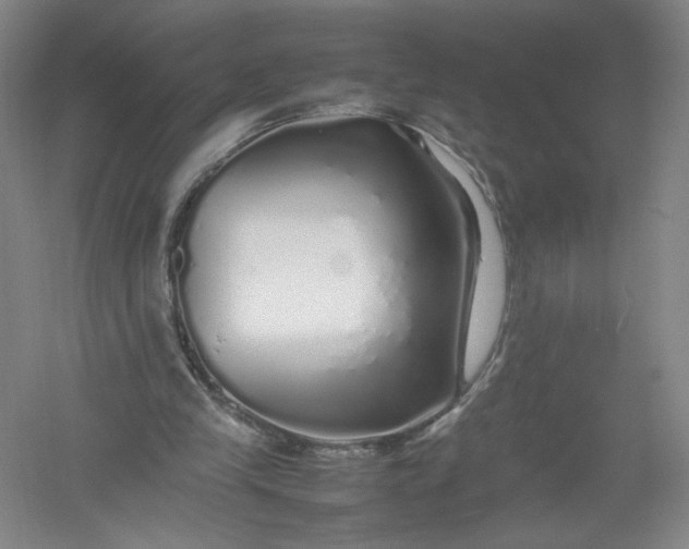 X0000054410245200508192038