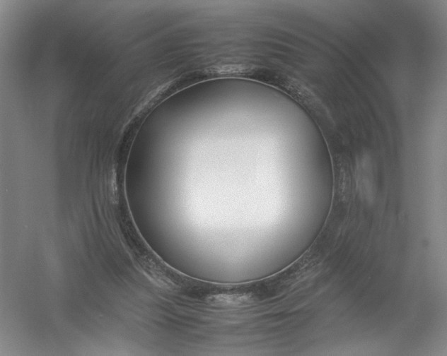X0000054410251200508192039