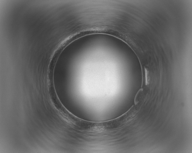X0000054410252200508192039
