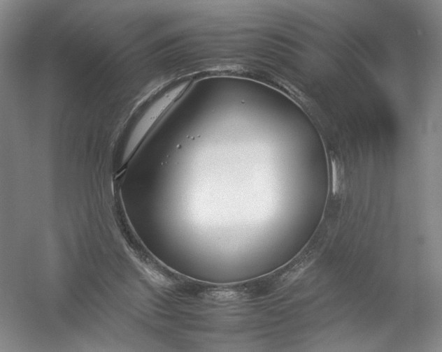 X0000054410253200508192039