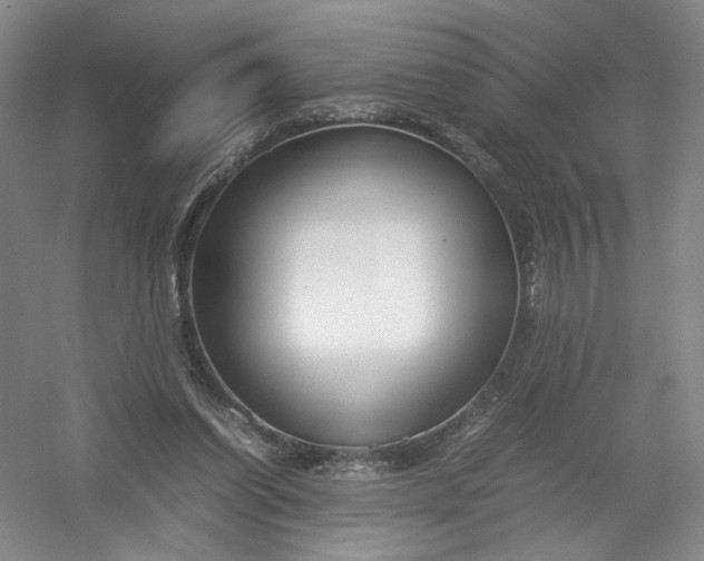 X0000054410254200508192039