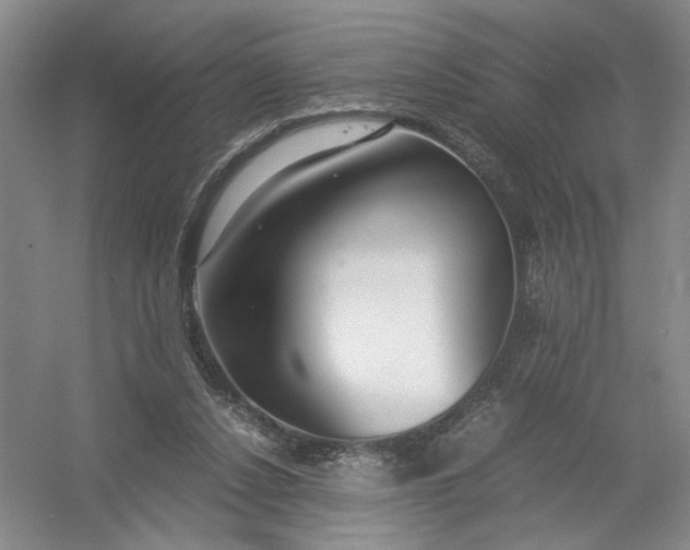 X0000054410256200508192039