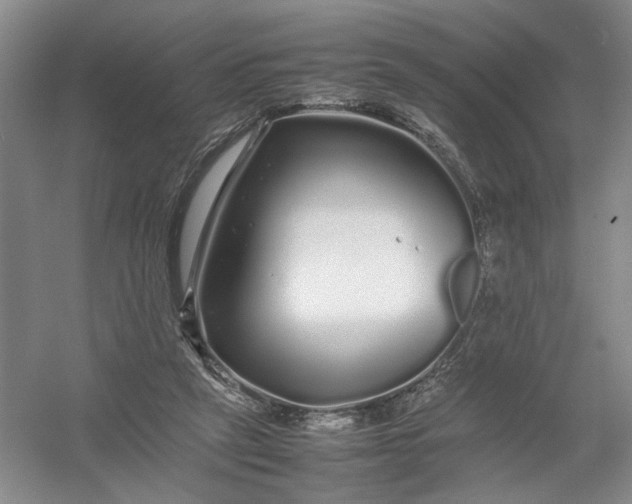 X0000054410257200508192039