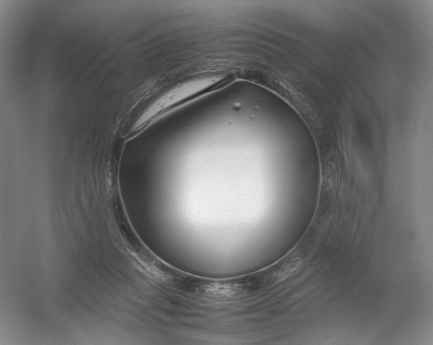 X0000054410261200508192039