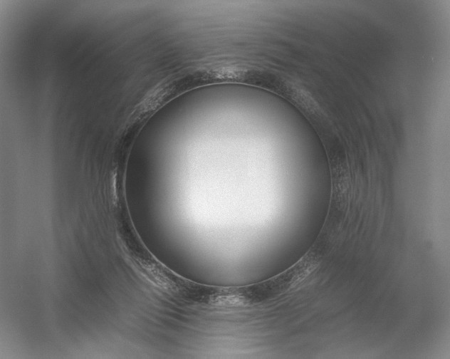 X0000054410262200508192039
