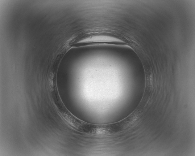 X0000054410264200508192039