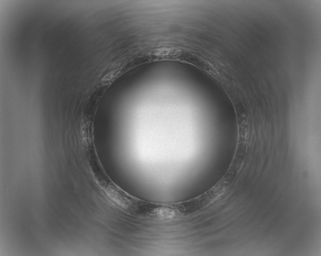 X0000054410272200508192039