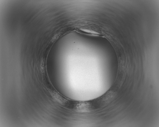 X0000054410274200508192039