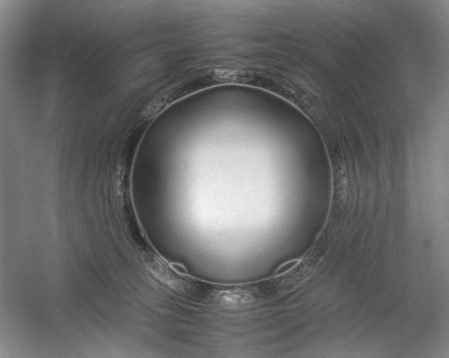 X0000054410275200508192039