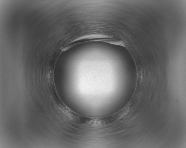 X0000054410276200508192039