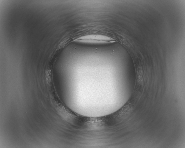 X0000054410278200508192039