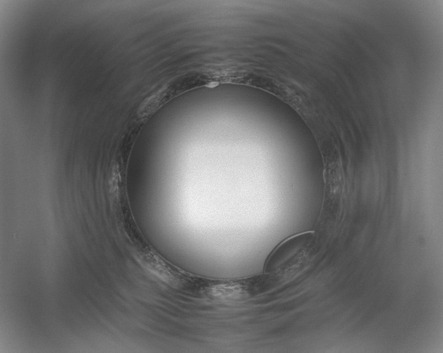 X0000054410279200508192039