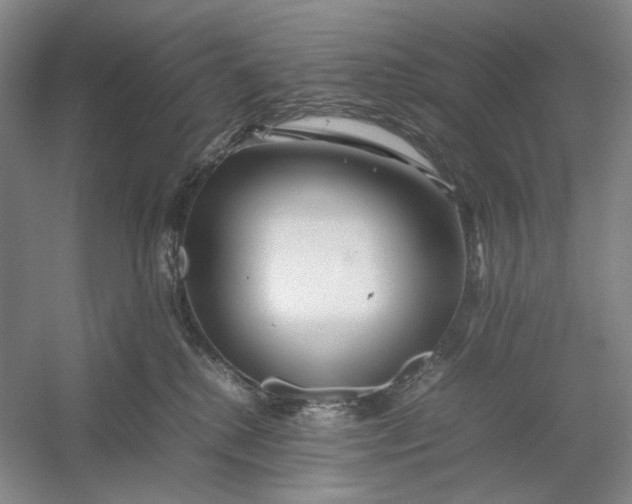 X0000054410280200508192039