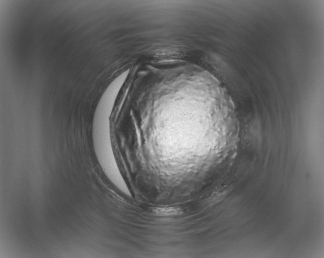X0000054410281200508192039