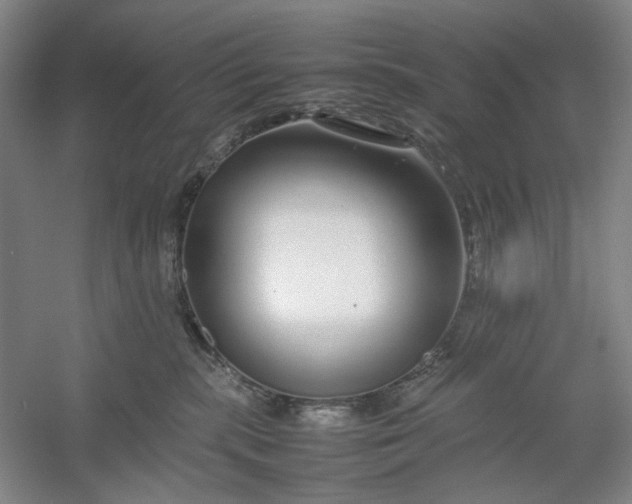 X0000054410283200508192039
